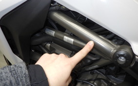 DUCATI MULTISTRADA 1260S 2019