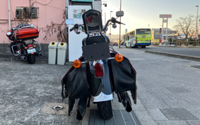HARLEY FLSTS1450 1998 BRL