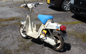YAMAHA PASSOL 2E9