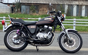 SUZUKI GSX250 GS25X