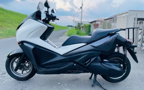 HONDA PHASE MF11