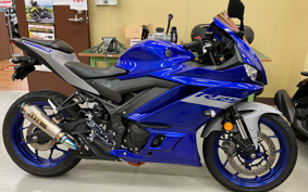 YAMAHA YZF-R25 RG43J