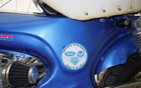 OTHER UNREGISTERED MODEL by BDS125