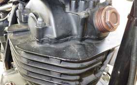 OTHER MUTT250