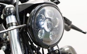 HARLEY XL1200NS 2020 LP3