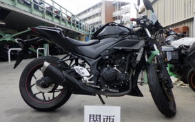YAMAHA YZF-R25 2017 RG10J