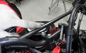 HONDA CRF250 RALLY LDA 2023 MD44