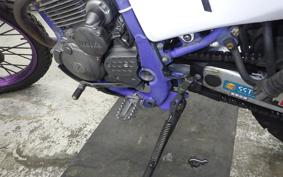 YAMAHA TT250R RAID 2009 4GY