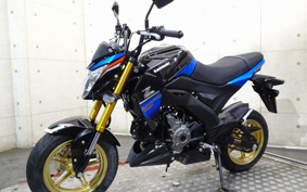 KAWASAKI Z125 PRO BR125H