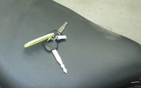 HONDA REBEL 250 MC49