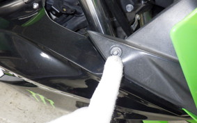 KAWASAKI NINJA 250 SL BX250A
