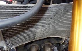 YAMAHA YZF-R25 RG43J