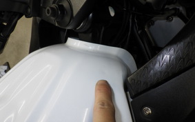 KAWASAKI NINJA 250 EX250L