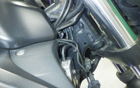 SUZUKI ｼﾞｸｻｰ250 2016