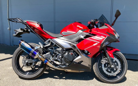 KAWASAKI NINJA 250 ABS EX250P
