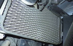 SUZUKI GSX250RA 2004