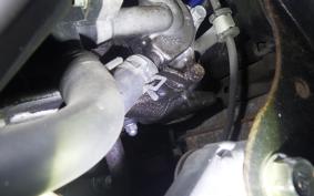 HONDA TACT Basket 2026 AF79