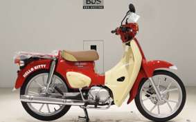 HONDA C110 SUPER CUB