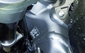 KAWASAKI NINJA ZX-6R A 2025 ZX636J
