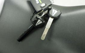 KAWASAKI ZX-4RR 2024 ZX400P