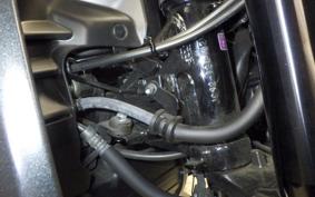 HONDA GROM 2009 JC92