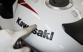 KAWASAKI ZX 1400 NINJA R A 2021