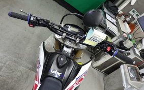 YAMAHA WR250R DG15J