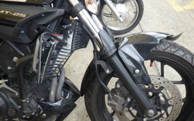 YAMAHA MT-25 RG10J