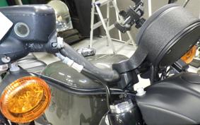 HARLEY XL883N 2020