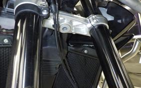 TRIUMPH TIGER 900 GT PRO 2025