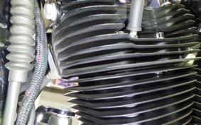 HARLEY XL1200XS 2020