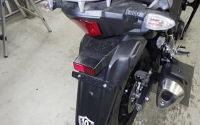 SUZUKI Vｽﾄﾛｰﾑ250A 2022