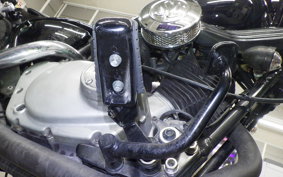 YAMAHA VIRAGO 250 2025 3DM