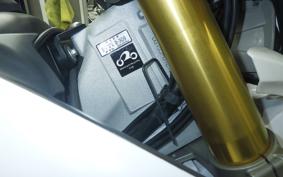 YAMAHA WR250R 2023 DG15J