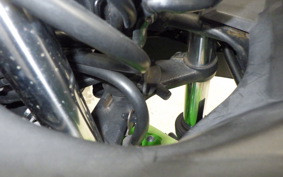 KAWASAKI NINJA 250 ABS 2009 EX250L
