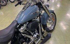 HARLEY  HARLEY FLFBS 2025 YGK
