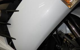 KAWASAKI ZX 1400 NINJA R A 2013
