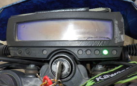 KAWASAKI KLX250D TRACKER X 2021 LX250V