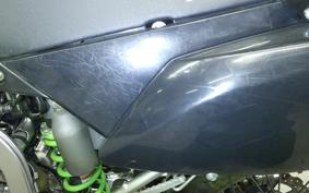 KAWASAKI KLX250 Gen.2 LX250S