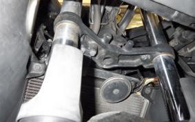 KAWASAKI NINJA 250 2020 EX250L