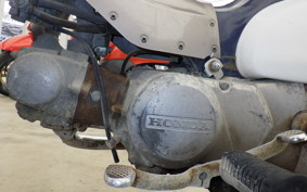 HONDA C50 SUPER CUB C50