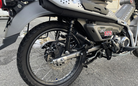 HONDA CT125 HUNTER CUB JA65
