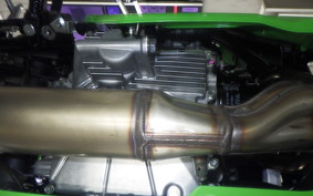 KAWASAKI ZX-4RR 2026 ZX400P