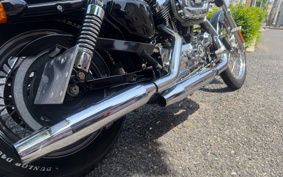 HARLEY XL1200L 2007 CX3