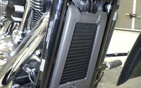 HARLEY FXBR1920 2025