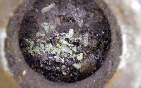 HONDA SHADOW 1100 CLASSIC 1995