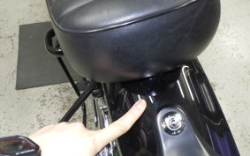 KAWASAKI W800 STREET 2022 EJ800E