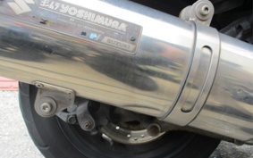 SUZUKI SKYWAVE 250M CJ45A