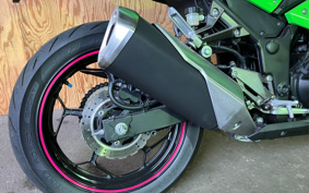 KAWASAKI NINJA 250 EX250L