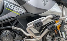 TRIUMPH TIGER 900 RALLY PRO 2024 TRE67D